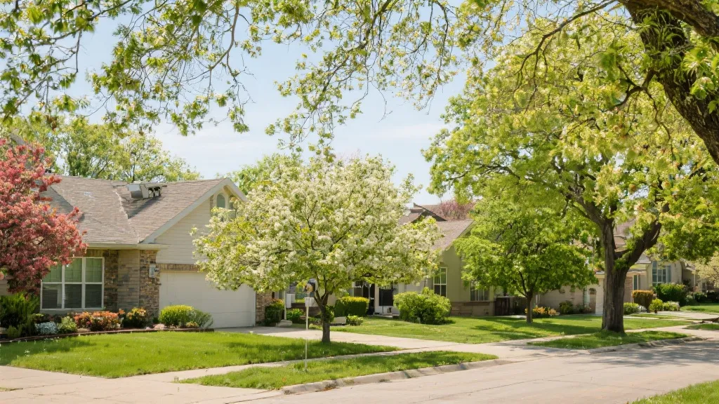 Discovering Springdale Estates in Austin